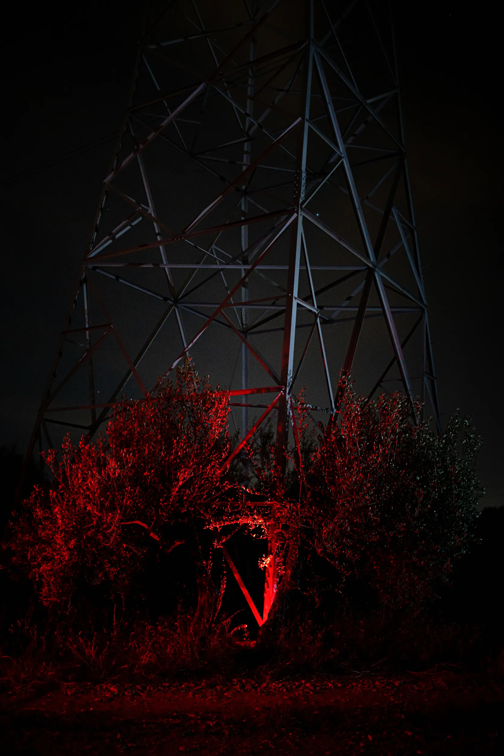 Base de una torre de alta tensión de noche con arbustos iluminados con una fuerte luz roja en primer plano, obra de Andreu Esteban para Terra Nullius.